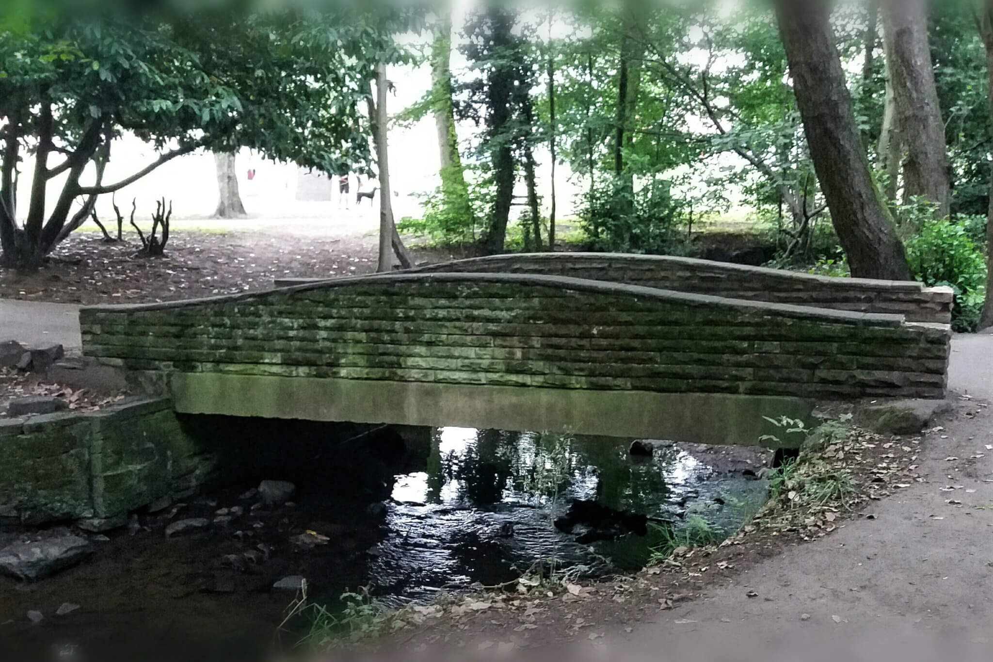 Bridge (1)